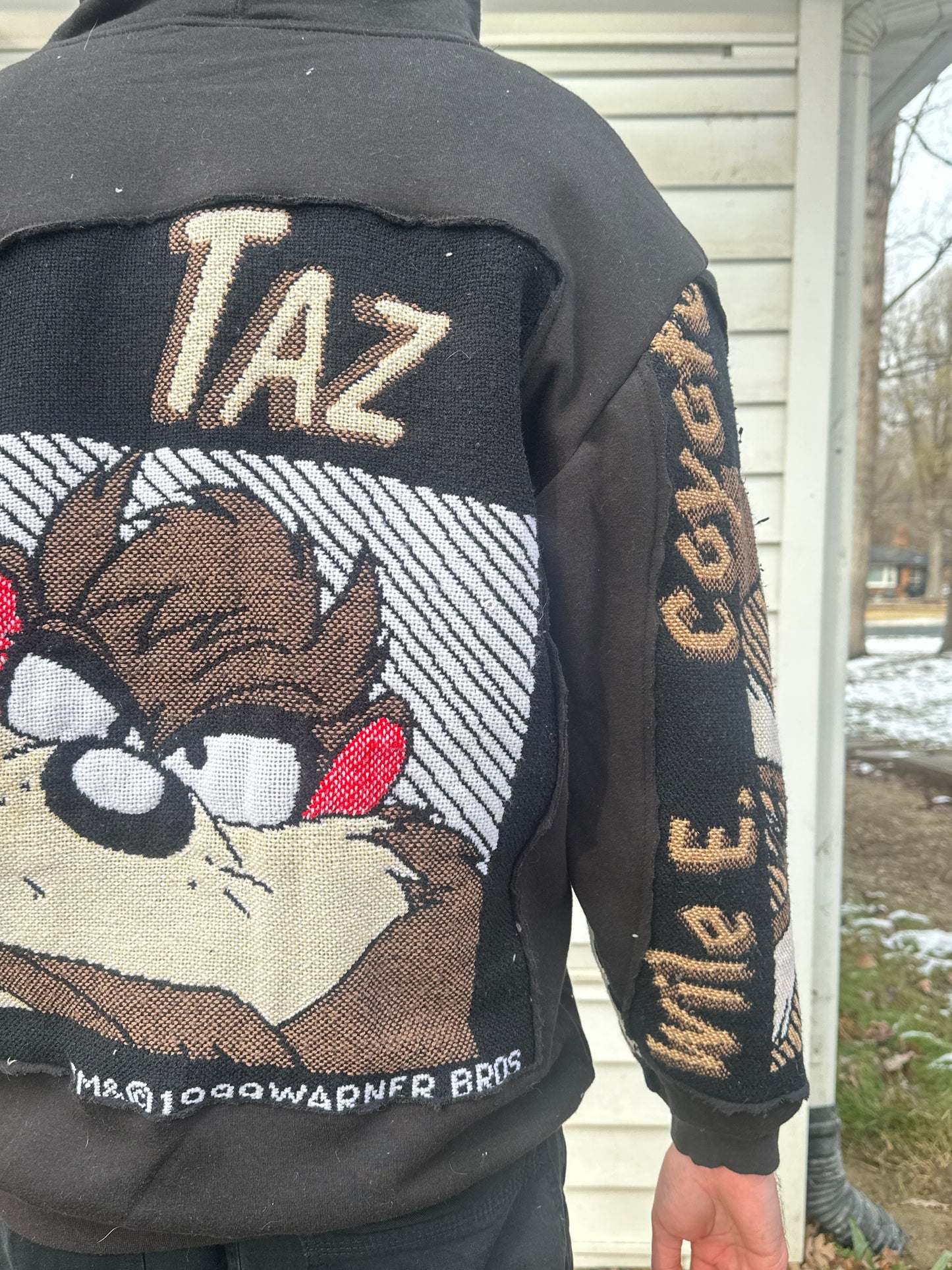 1 of 1 Handmade Taz & Wile E Coyote Hoodie