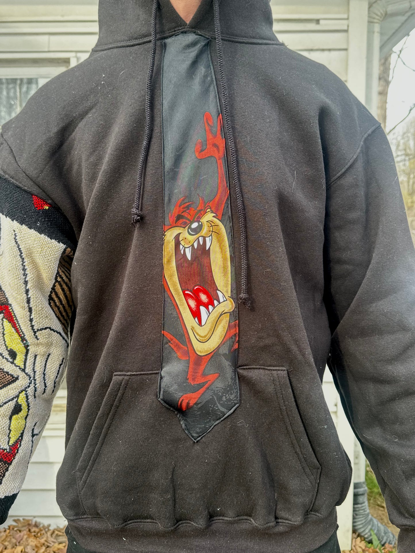 1 of 1 Handmade Taz & Wile E Coyote Hoodie